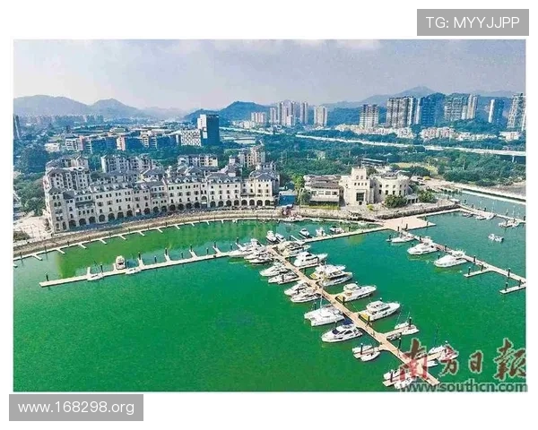 全面解析游艇会规则：会员权益与行为准则指南